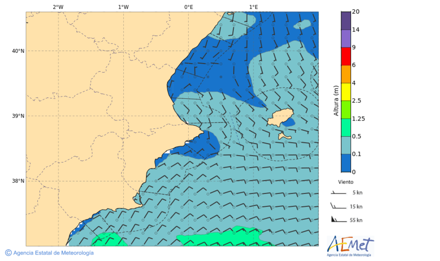 aemet 117 horas