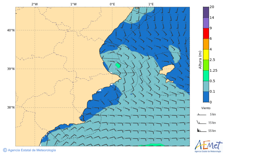 aemet 117 horas