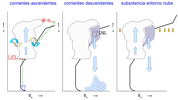 Parametrización de la convección: circulaciones representadas en los esquemas de flujo de masa