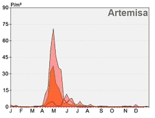 Evolución de la concentración de polen de artemisa en Santa Cruz de Tenerife a lo largo de 2012