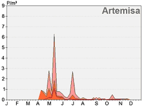 Evolución de la concentración de polen de artemisa en Izaña a lo largo de 2012.