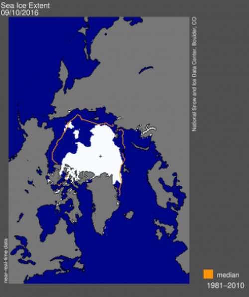 OMM-Artico.jpg