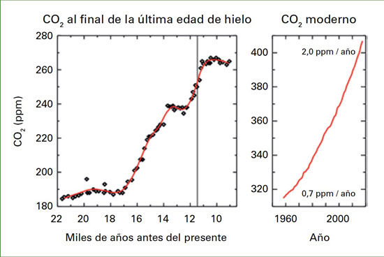 Evolución de la concentración de dióxido de carbono en la atmósfera