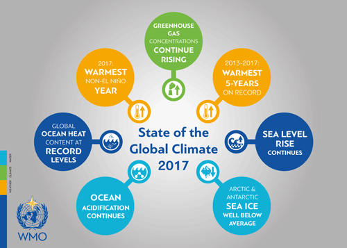 Estado globlal del clima 2017