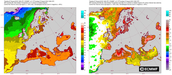 Izquierda, temperatura del agua del mar el mediodía del 7 de agosto de 2018; derecha, anomalía de la temperatura del agua del mar. Fuente: Centro Europeo de Predicción a Medio Plazo.