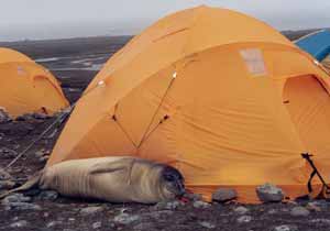 Proyecto LIMNOPOLAR en la Antártida