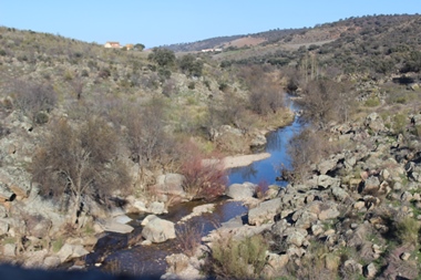 Río Pusa en Los Navalmorales (La Jara-Montes de Toledo, 10-01-2020).
