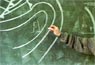Cursos y becas