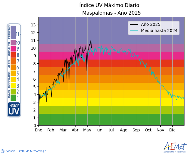 Maspalomas. Anual