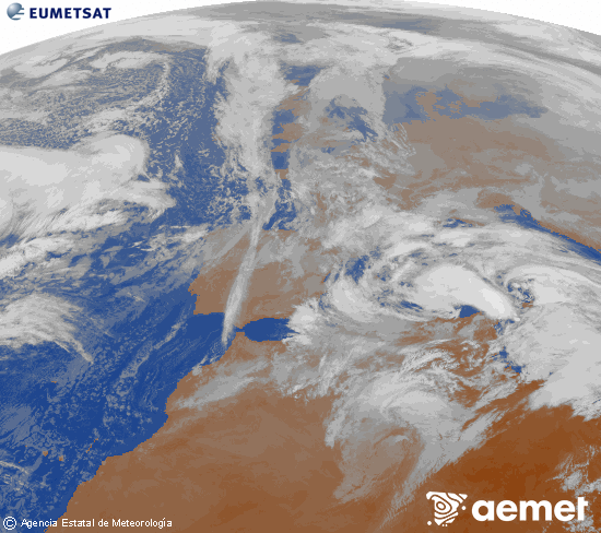 Imagen de la zona de Europa y Norte de �frica del canal infrarrojo del sat�lite Meteosat operacional en 0�N 0�W, procesada para darle color.&nbsp;lunes, 19 enero 2026 a las 11:00