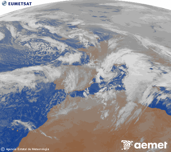 Imagen de la zona de Europa y Norte de �frica del canal infrarrojo del sat�lite Meteosat operacional en 0�N 0�W, procesada para darle color.&nbsp;samedi, 24 janvier  2026 22:00