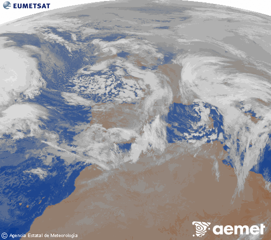 Imagen de la zona de Europa y Norte de �frica del canal infrarrojo del sat�lite Meteosat operacional en 0�N 0�W, procesada para darle color.&nbsp;dimanche, 25 janvier  2026 08:00