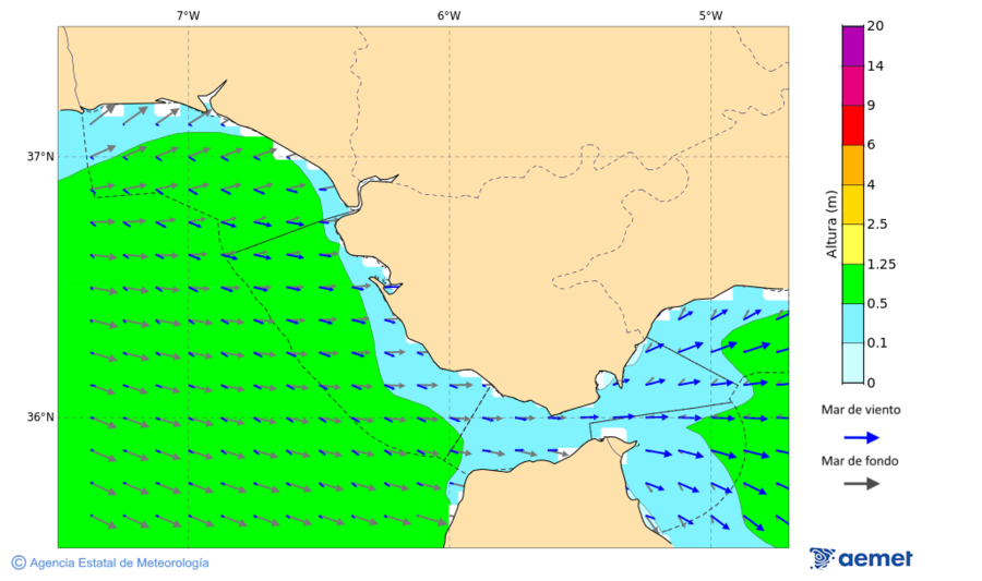 Coastal Areas Image:&nbsp;Sunday, 12 July  2026 05:00