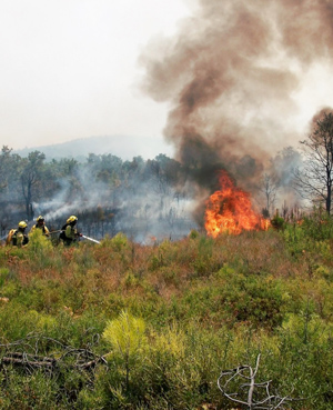 Incendio de Acebo, en Cáceres el 6 de agosto de 2015 (Fuente MAPAMA)