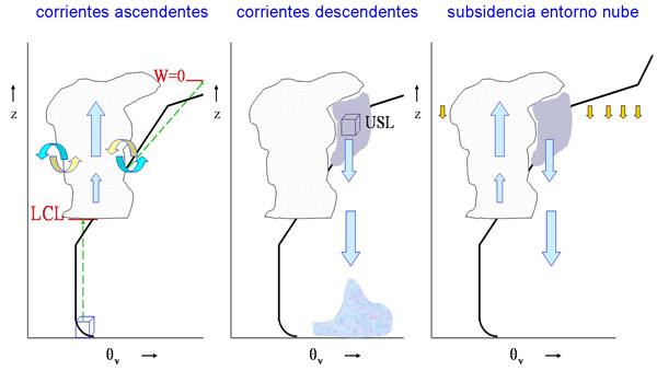 Parametrización de la convección: circulaciones representadas en los esquemas de flujo de masa