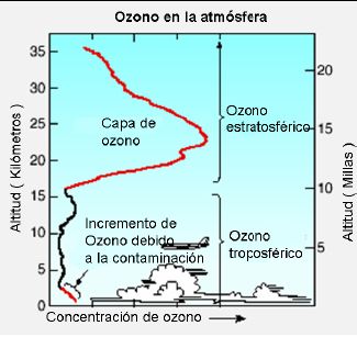 Fig 2. La capa de ozono en la atmósfera