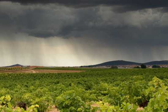 Servicios meteorológicos para la agricultura