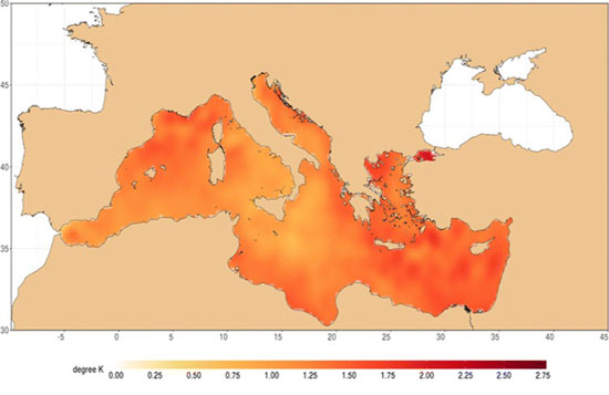 Mapa del incremento global de la temperatura del agua superficial del mar desde 1982 a 2016. Fuente: Pastor, F., Valiente, J.A. y Palau, J.L. Pure Appl. Geophys (2017)