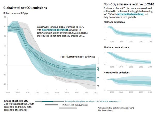 Reducciones de emisiones necesarias para el objetivo de 1,5 ºC (Fuente: Informe especial del IPCC)
