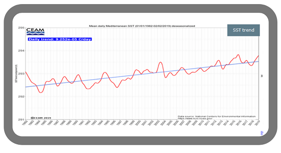 Figura 11 - Evolución diaria de la temperatura superficial del Mediterráneo desde 1982 hasta 2019