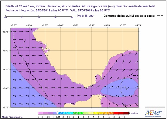 Ejemplo de información suministrada por el modelo SWAN en el Estrecho