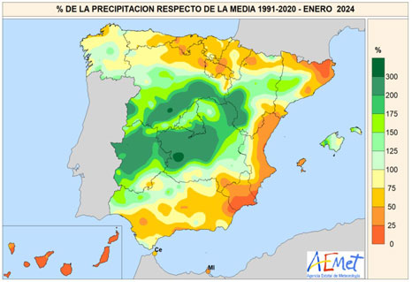 Porcentaje de la precipitación acumulada en enero de 2024 respecto al promedio del período 1991-2020