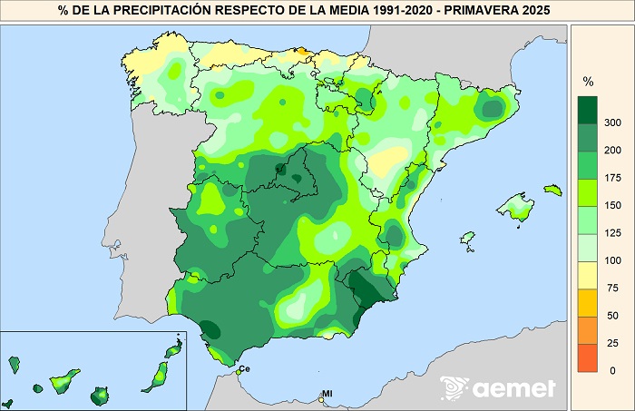 Porcentaje de las precipitaciones respecto al promedio normal del período 1991-2020 durante la primavera de 2025