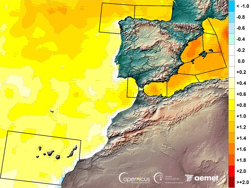 Anomal&iacute;a de la temperatura del agua superficial del mar en 2025