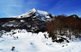 Pirineos