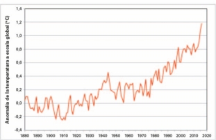 Anomalías de la temperatura