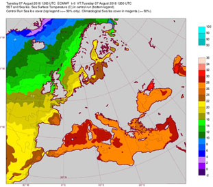 Temperatura del agua superficial del mar