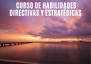 Curso habilidades estrategicas