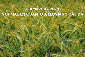 Resumen de la primavera y predicción para el verano 2024