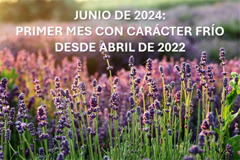 resumen-junio24