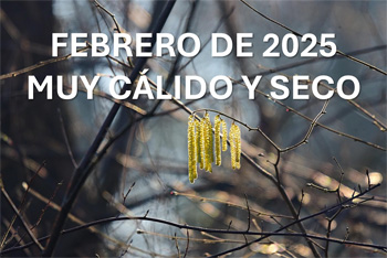 Febrero de 2025, muy cálido y seco