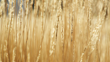 Resumen climático octubre 2025