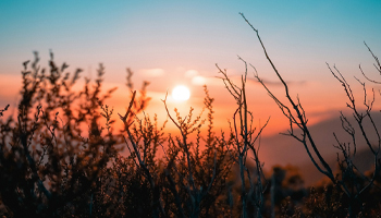 Balance climático de noviembre 2025