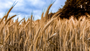 Resumen clim&aacute;tico del oto&ntilde;o de 2025