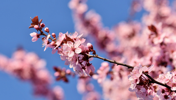 Balance clim&aacute;tico de marzo de 2026