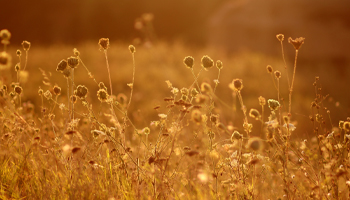Balance clim&aacute;tico de la primavera de 2026