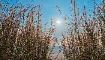 Septiembre de 2026 marca temperaturas récord y sequía en España