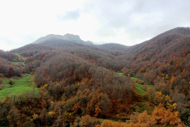 Robledales en Piedrasluengas, Liébana (Cantabria) 07/12/2015