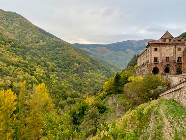 Bosque de Valvanera (La Rioja)