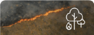 Peligro meteorol&oacute;gico de incendio