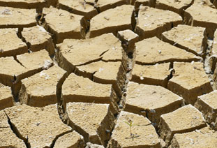 Met. drought monitoring