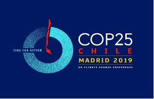 logo cop25